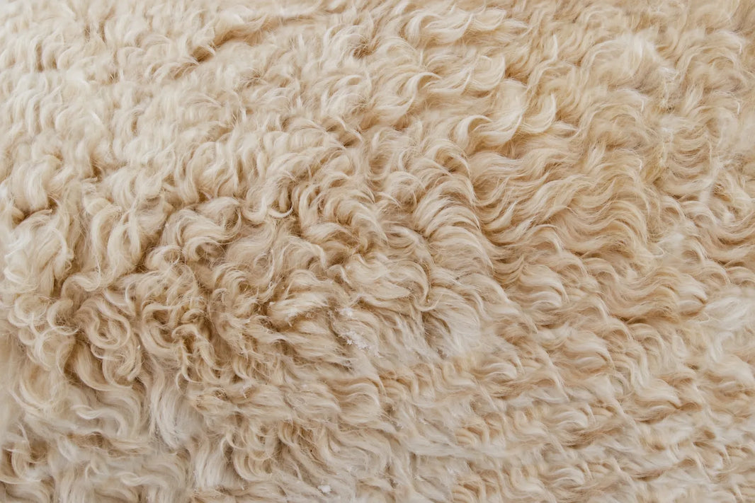 The Science of Staying Warm: Why Wool Beats Synthetic