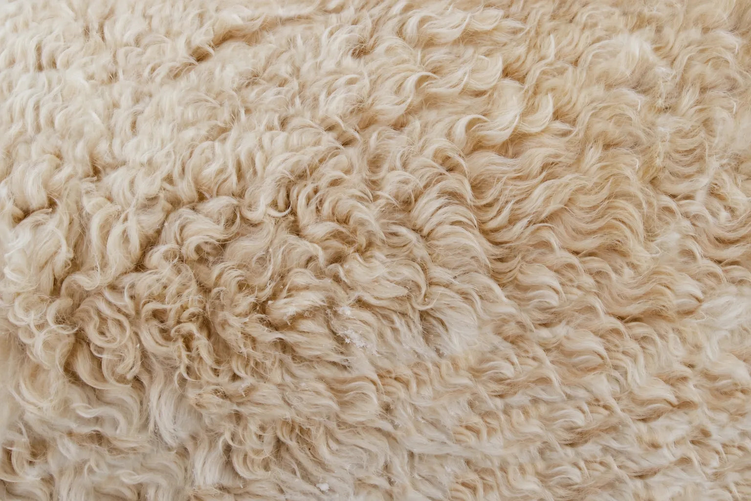 The Science of Staying Warm: Why Wool Beats Synthetic